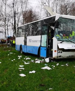 Wypadek autobusu szkolnego w Wielkopolsce. 5 dzieci rannych