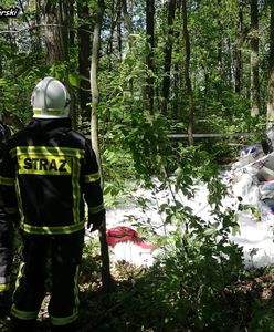 Napoleon w Śląskiem. Rozbił się "Spitfire" z muzeum Dywizjonu 303. Nie żyje pilot