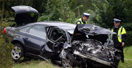 Uwaga, zwierzę na drodze. O odszkodowanie po zderzeniu z sarną czy łosiem niełatwo