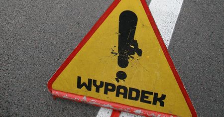 Po pijanemu ćwiczyła do prawka nie swoim autem. Skończyła na drzewie i z mandatem