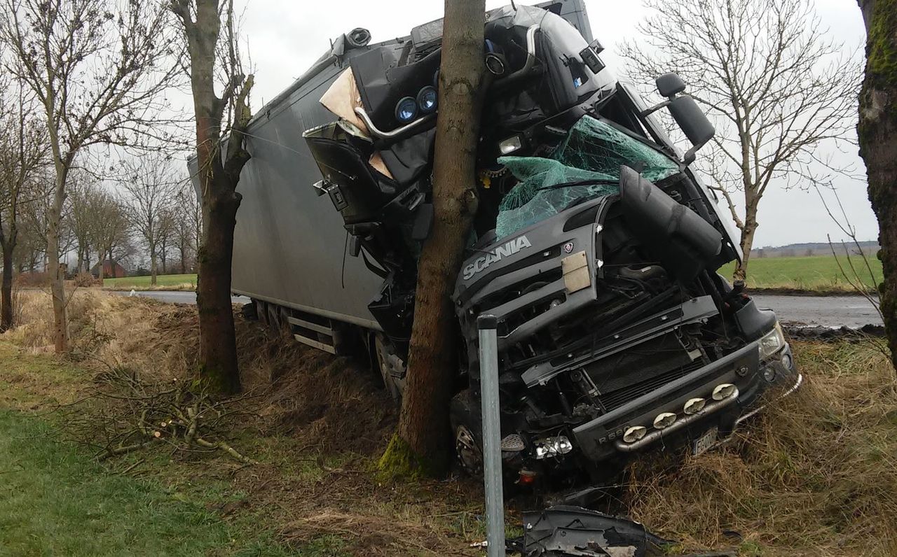 Zachodniopomorskie. Tir uciekał przed sarną. Roztrzaskał się o drzewo