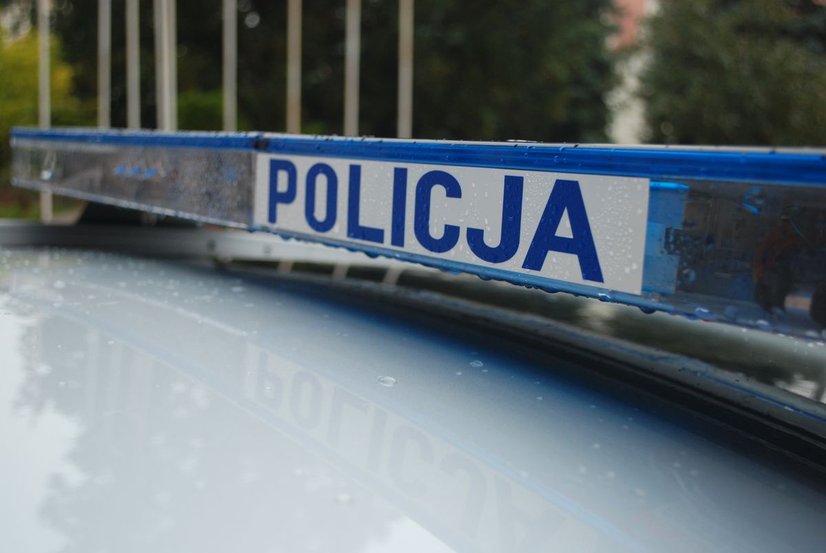 Uciekał przed policją, zatrzymał się na drzewie