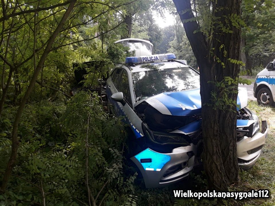 Wypadek podczas policyjnego pościgu. Radiowóz wylądował na drzewie