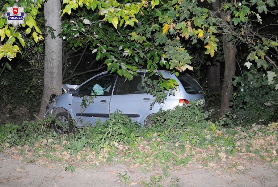 Rozbił auto na drzewie, bo atakowała go osa. Groźny wypadek na Lubelszczyźnie