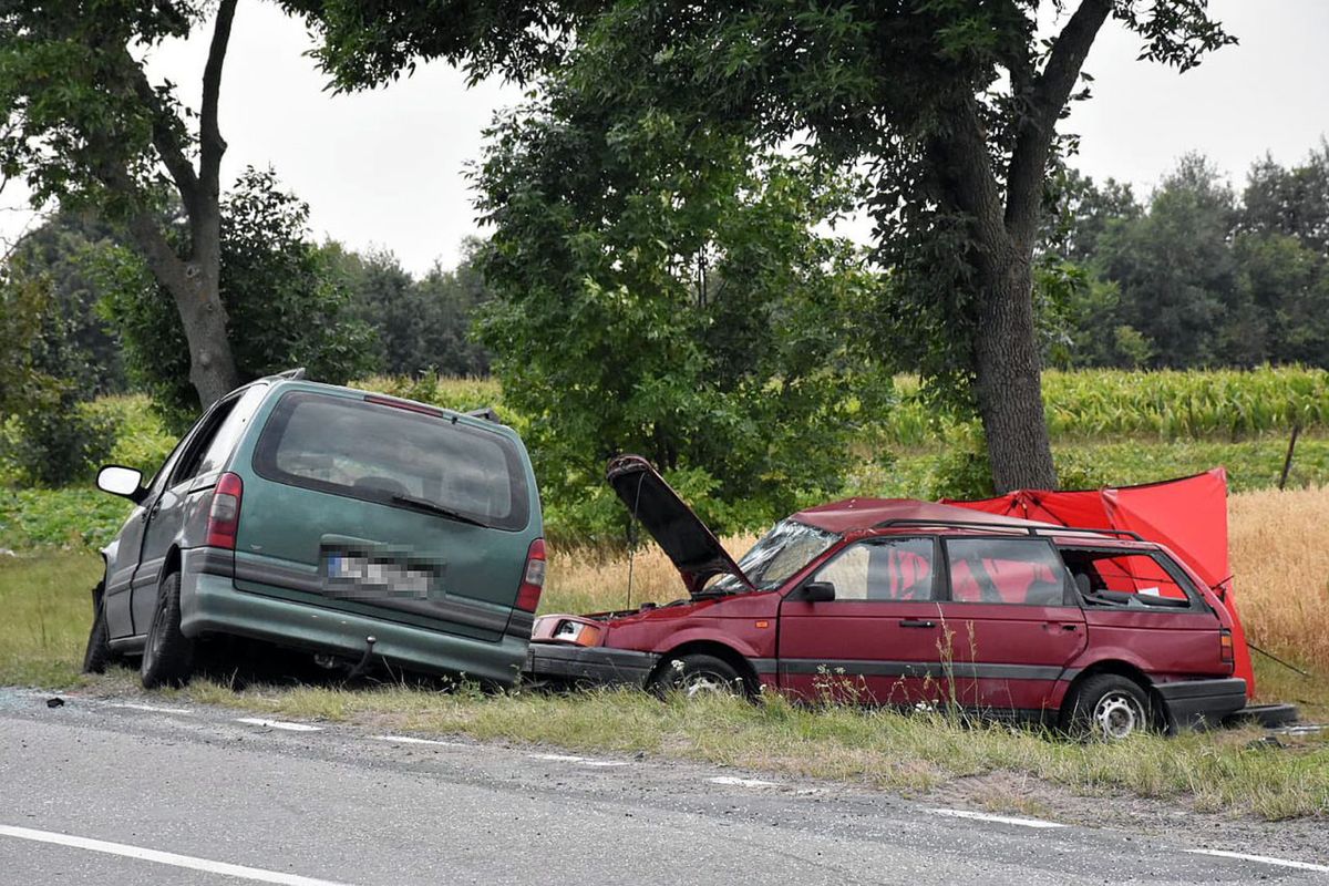 Horodyszcze. W wypadku zginęła nastolatka. Auto mogło prowadzić dziecko