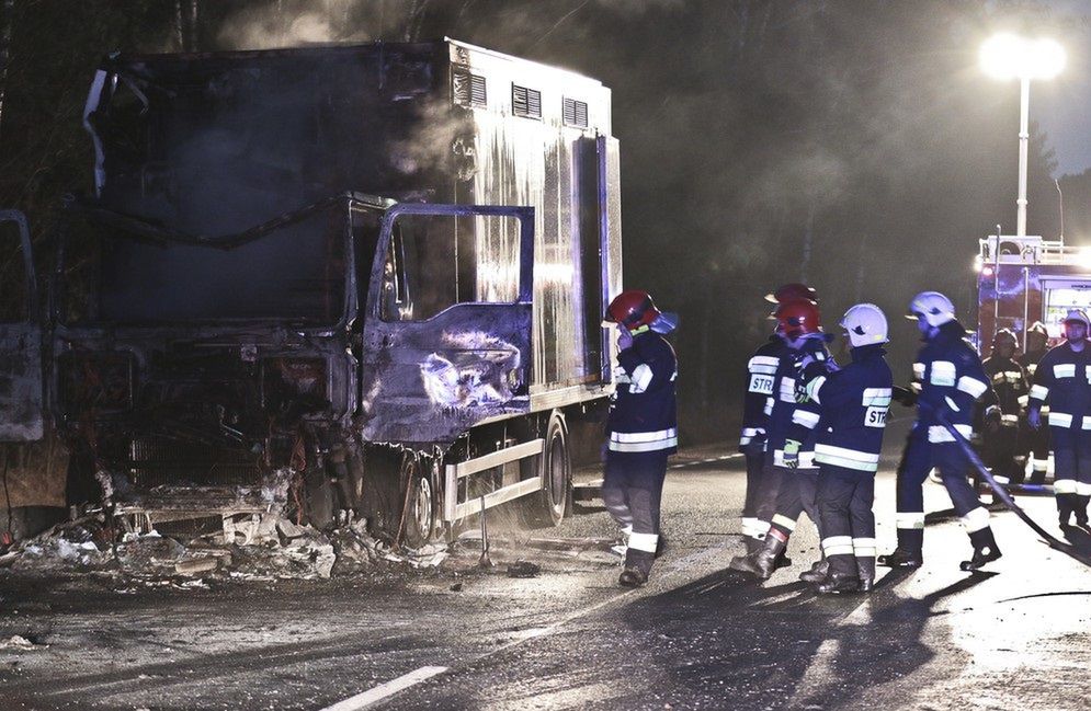 Wszyscy pomagali wydostać się zwierzętom