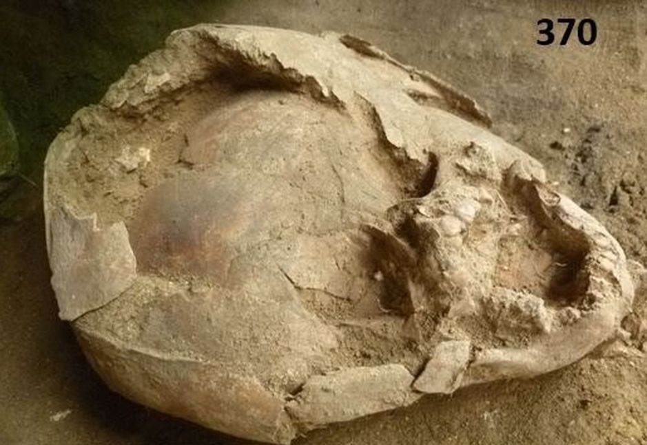 Archeolodzy zbadali szczątki niemowląt. Co odkryli? To jedyny taki przypadek w historii