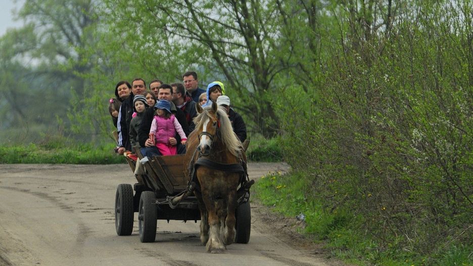 Wypadek wozu konnego w powiecie krakowskim (zdjj. ilustracyjne)