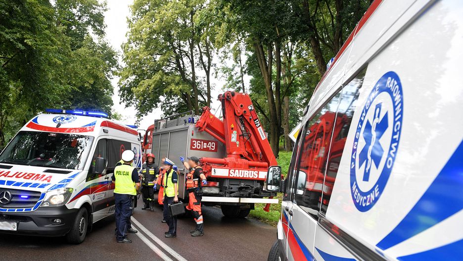 Lubin. Samochód ciężarowy uderzył w drzewo na DK3