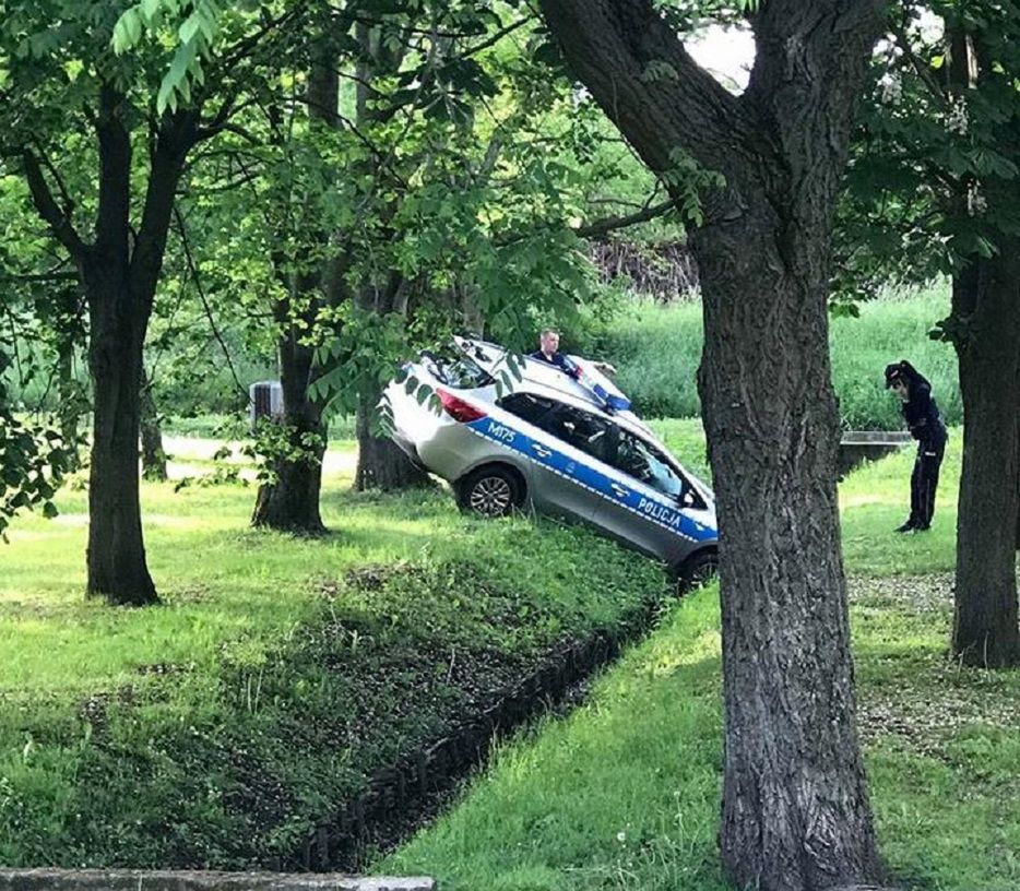 Policjant dostał mandat. Wjechał radiowozem do rowu