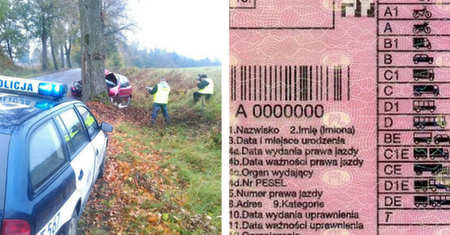 Odebrała prawo jazdy i... wjechała prosto w drzewo