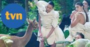 Afera z alpakami w „Top Model”. Kora byłaby wściekła. TVN tłumaczy się i obrywa jeszcze bardziej