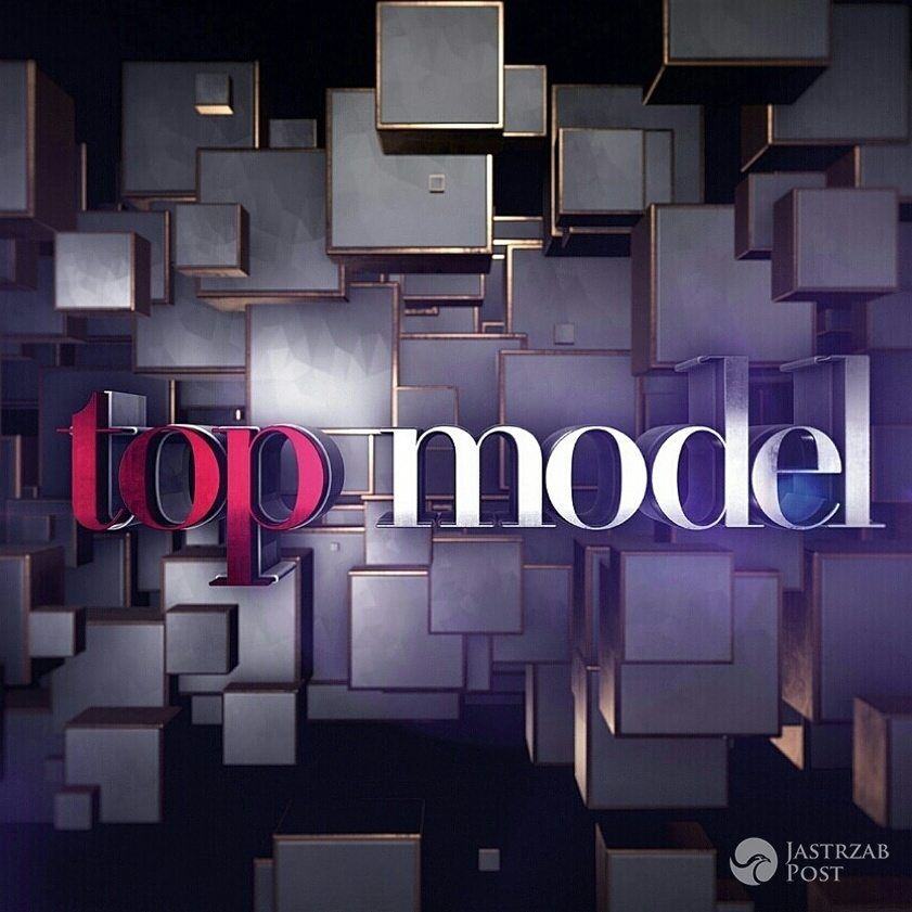 Poprzednie logo Top Model