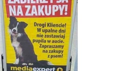 Nie zostawiaj psa pod sklepem. Sklepy rezygnują z tabliczki "zakaz wprowadzania psów"