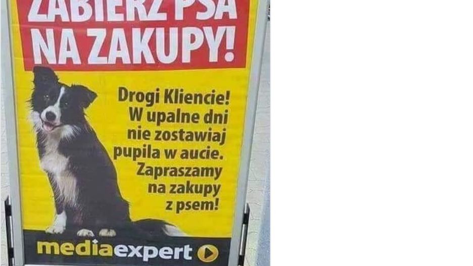Nie zostawiajcie psów w rozgrzanym samochodzie, zabierzcie  je ze sobą, zachęca sklep 
