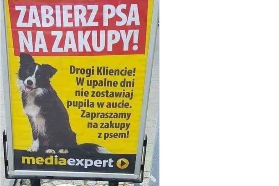 Nie zostawiajcie psów w rozgrzanym samochodzie, zabierzcie  je ze sobą, zachęca sklep 