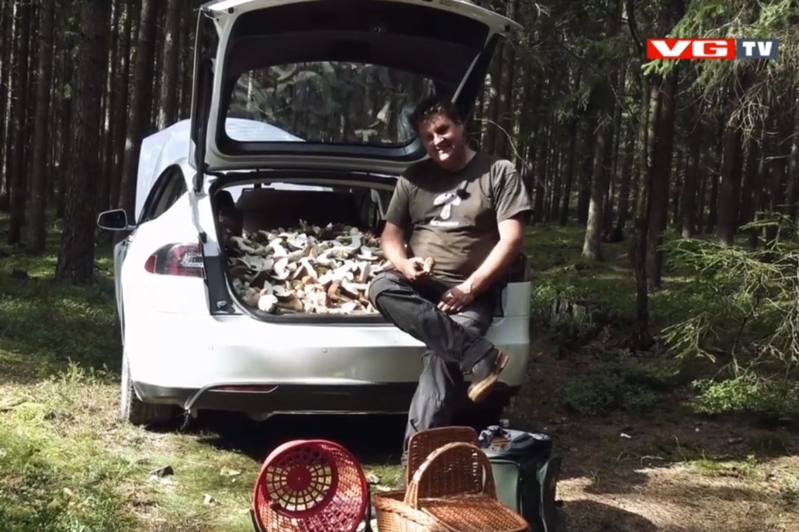 Ile grzybów zmieści się do Tesli? Ponad 200 kg