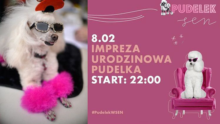 Już 8 lutego odbędzie się wielka impreza urodzinowa w warszawskim klubie SEN
