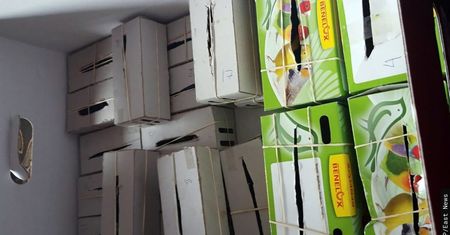 Skandal na lotnisku. Osłupieli, gdy otworzyli walizkę Belga