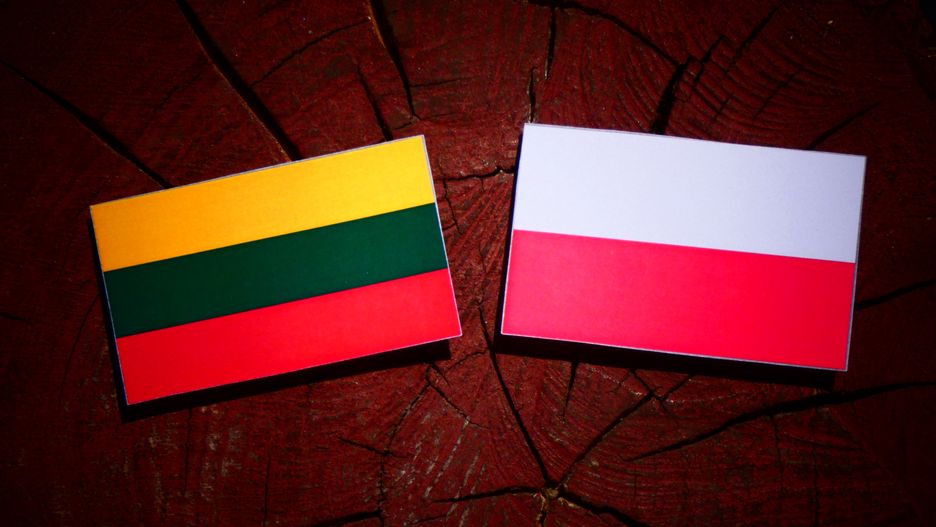 Polska i Litwa uchronią UE przed epidemią ze wschodu