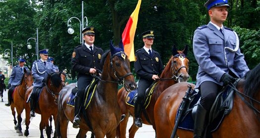 Policja na koniach