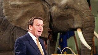 Gerhard Schroeder