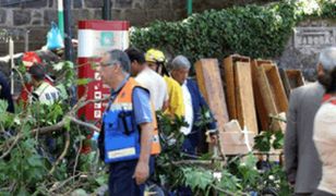 Tragiczna procesja. Wiernych przywaliło drzewo. Nie żyje 12 osób