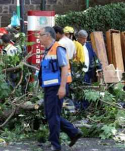 Tragiczna procesja. Wiernych przywaliło drzewo. Nie żyje 12 osób