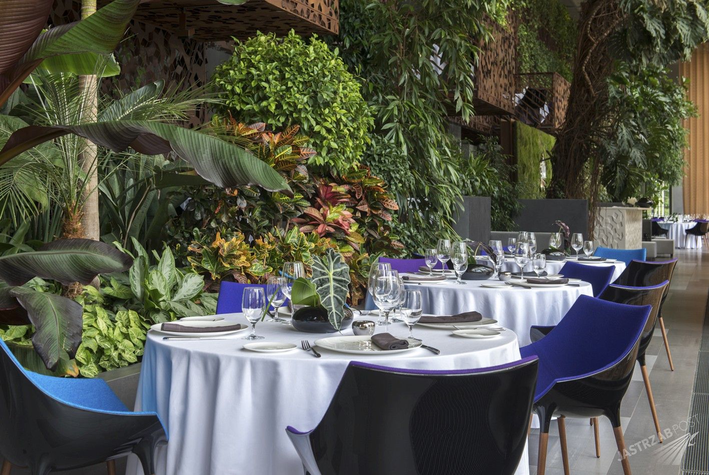 Restauracja Belvedere