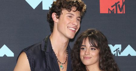Shawn Mendes przyłapany na plaży bez koszulki