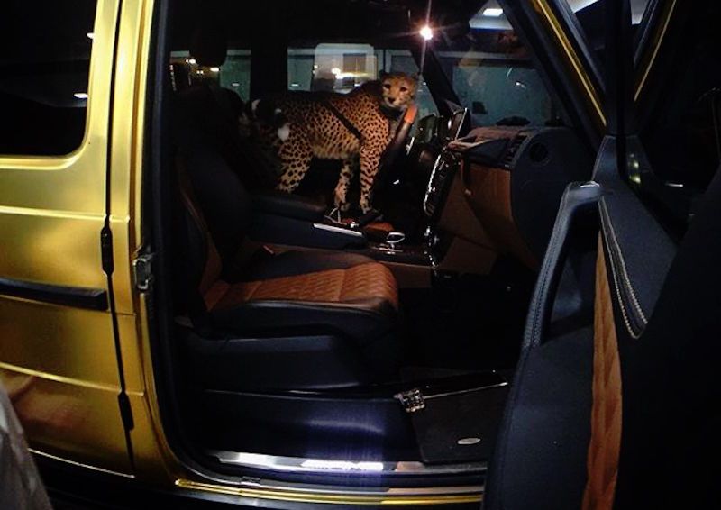 Tak się jeździ po Londynie. Młody szejk robi furorę