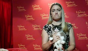 Jedno zdjęcie zmieniło życie młodej kelnerki. Zarobiła fortunę na kocie