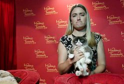 Jedno zdjęcie zmieniło życie młodej kelnerki. Zarobiła fortunę na kocie