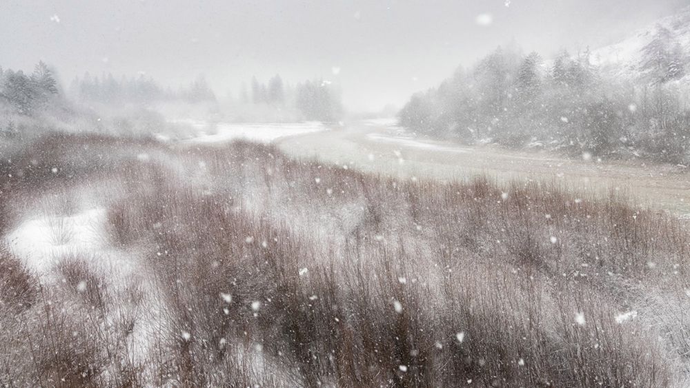 Zobaczcie najlepsze zdjęcia konkursu GDT European Wildlife Photographer of the Year 2016 11