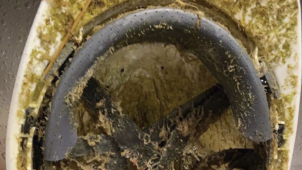 Norweg znalazł na brzegu kask należący do amerykańskiej agencji rządowej