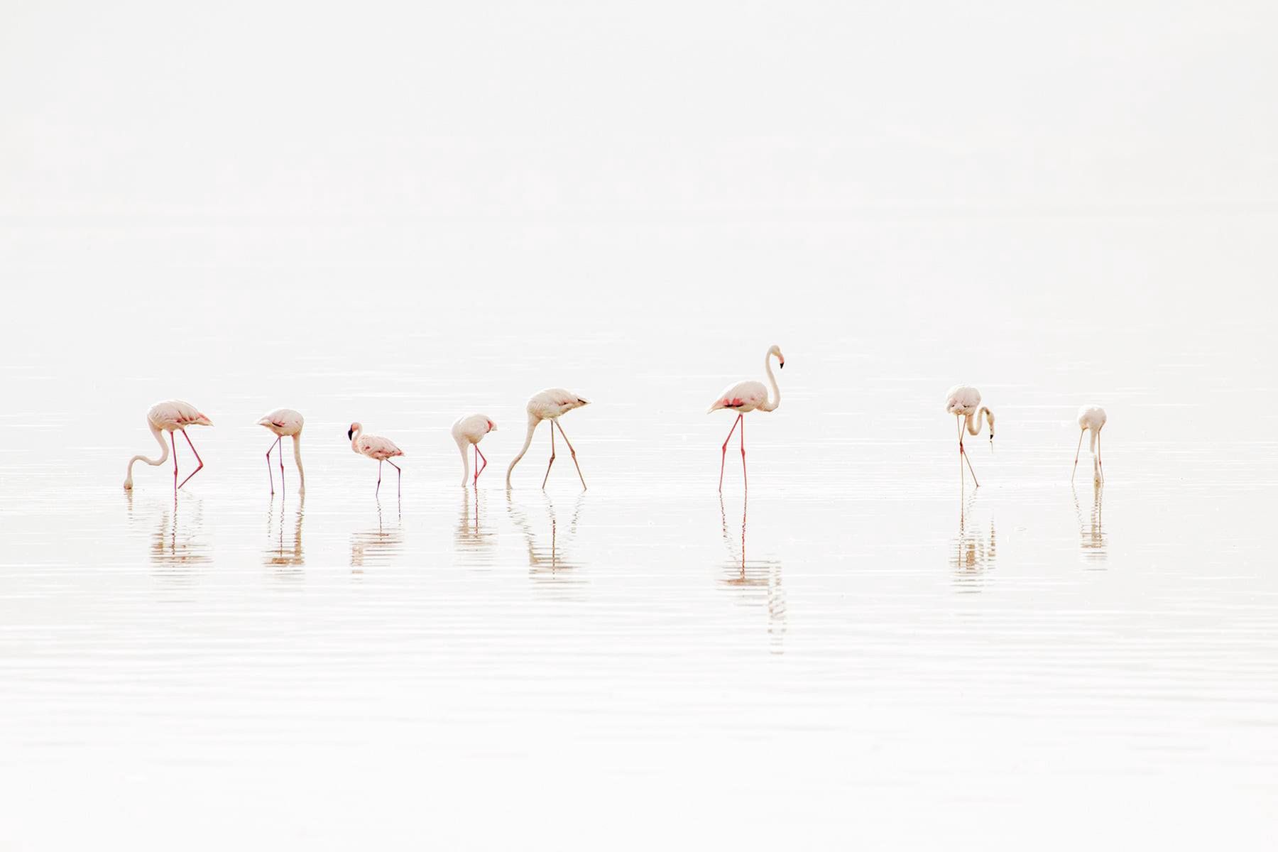 Zdjęcie z grupy "Minimalist Photography".