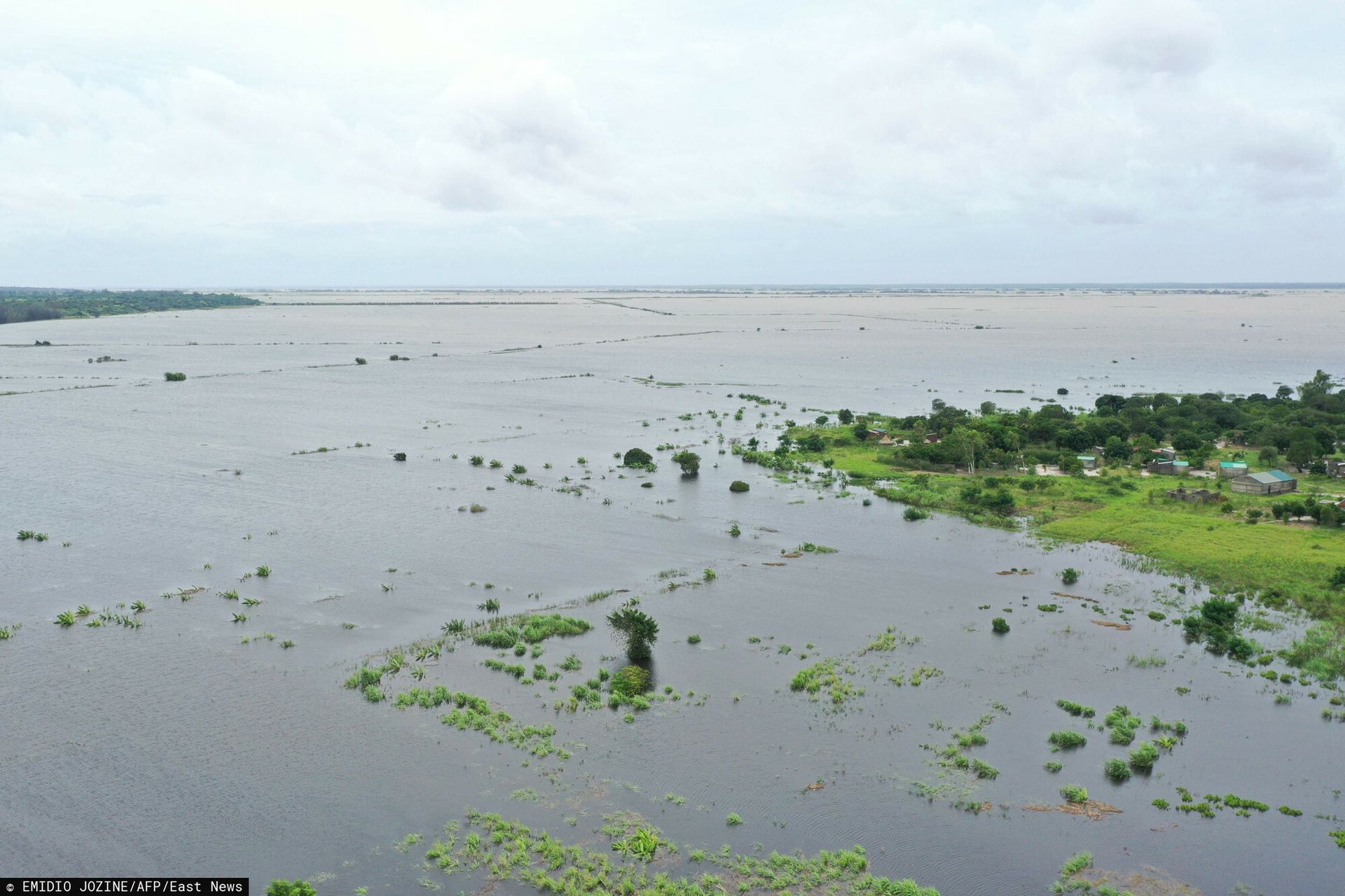 wiadomości,aktualności,WP Wiadomości Horror w Mozambiku. Krokodyle i hipopotamy wpłynęły do miast