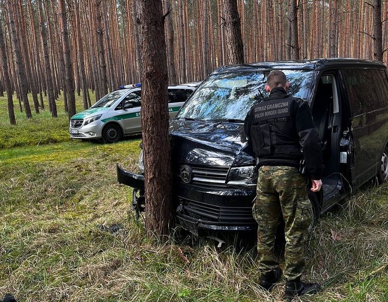 Uciekał drogim autem przez las. Pościg zakończył się na drzewie