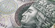 Lot orła, czyli perspektywy PLN w 2024 roku - czy polski złoty nadal będzie w formie?