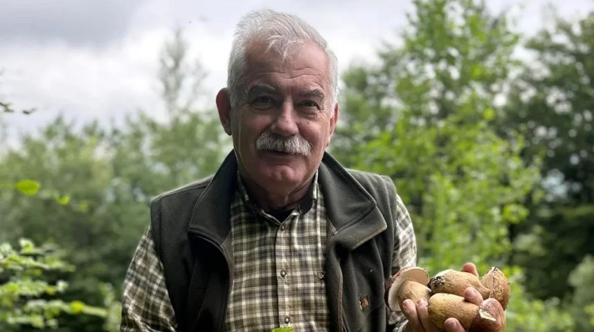 Leśnik opowiada, co robią rodziny z dziećmi w lesie