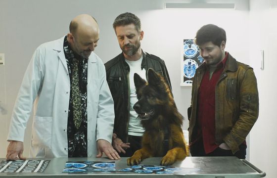 Ilu widzów oglądało "Komisarza Alexa" w TVP1?