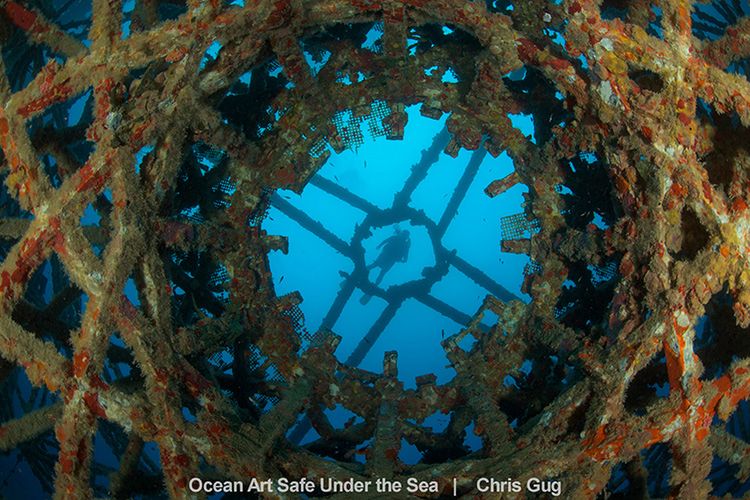 Najlepsze zdjęcia oceaniczne w konkursie Safe Under the Sea 21