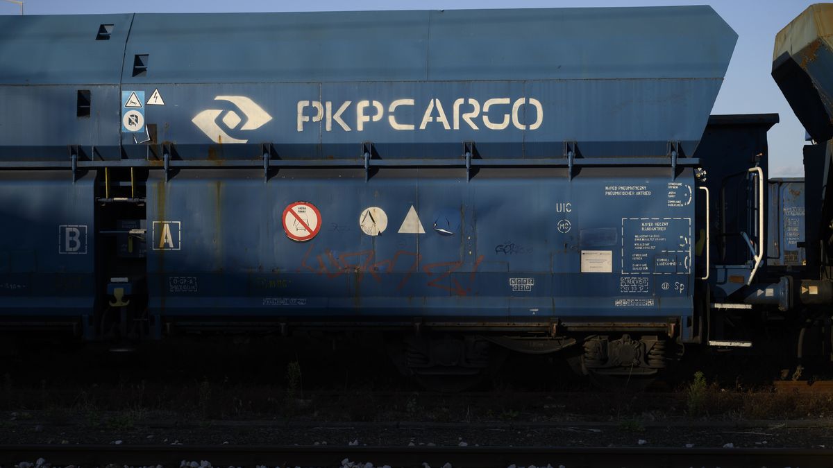 PKP Cargo freight train cars are standing parked in a yard in Warsaw, Poland, on July 30, 2024. (Photo by Aleksander Kalka/NurPhoto via Getty Images)