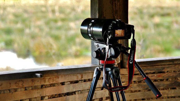 Canon patentuje obiektyw lustrzany 400 mm f/5.6 1