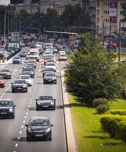 В центрі Варшави на трамвайних лініях з‘явиться більше зелених насаджень