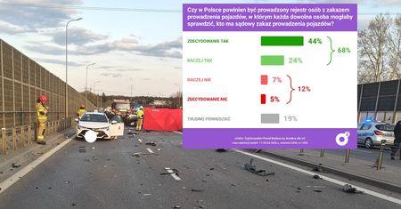 Rejestr osób z zakazem prowadzenia pojazdów? Polacy wskazali jasno