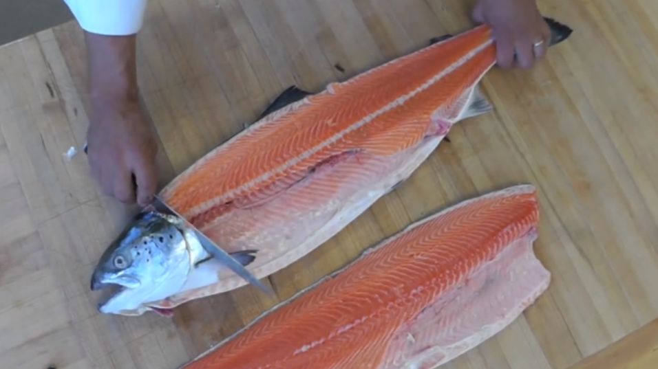 uważaj na te ryby. mogą mieć pasożyty