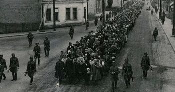 Pierwsi Polacy w Auschwitz. Zapomniani świadkowie piekła