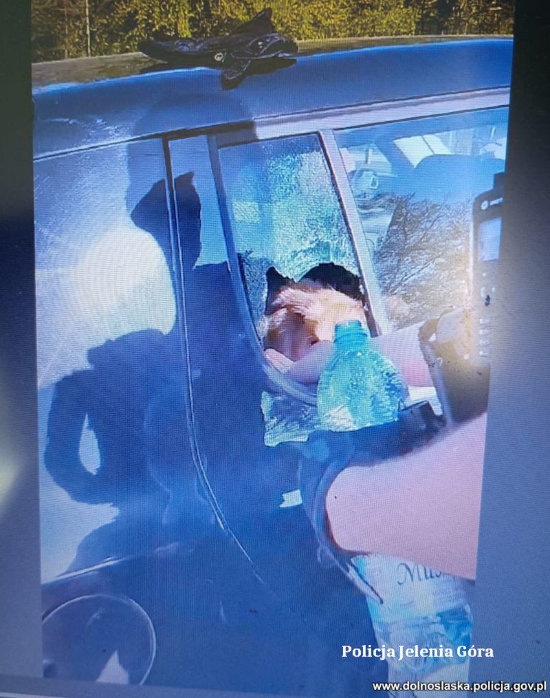 Fot. Policja Jelenia Góra. Policjanci rozbili szybę i uwolnili psa z nagrzanego auta