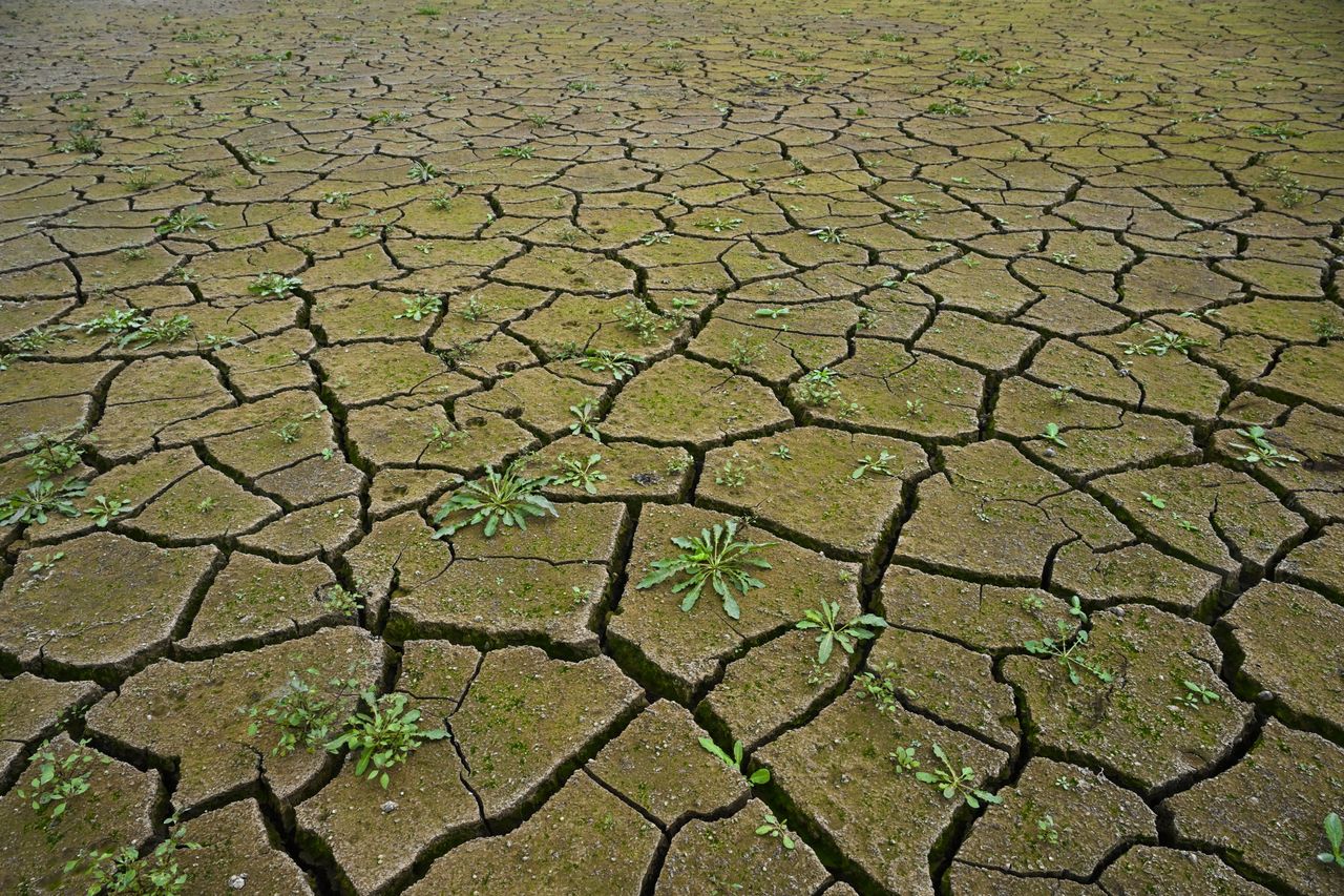 One of the effects of the heatwaves is the drying up of Lake Rusanda located in northern Serbia.